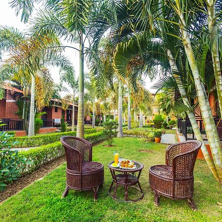 Vision Safari Pvt Ltd Hotel Sauraha Exterior photo